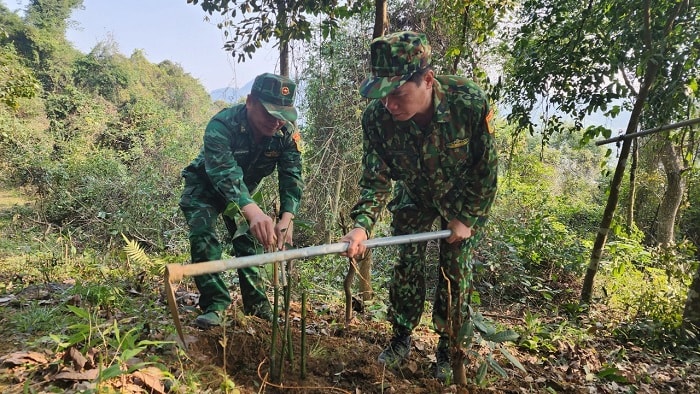 Triển khai mô hình “Lũy tre biên giới Việt Nam”