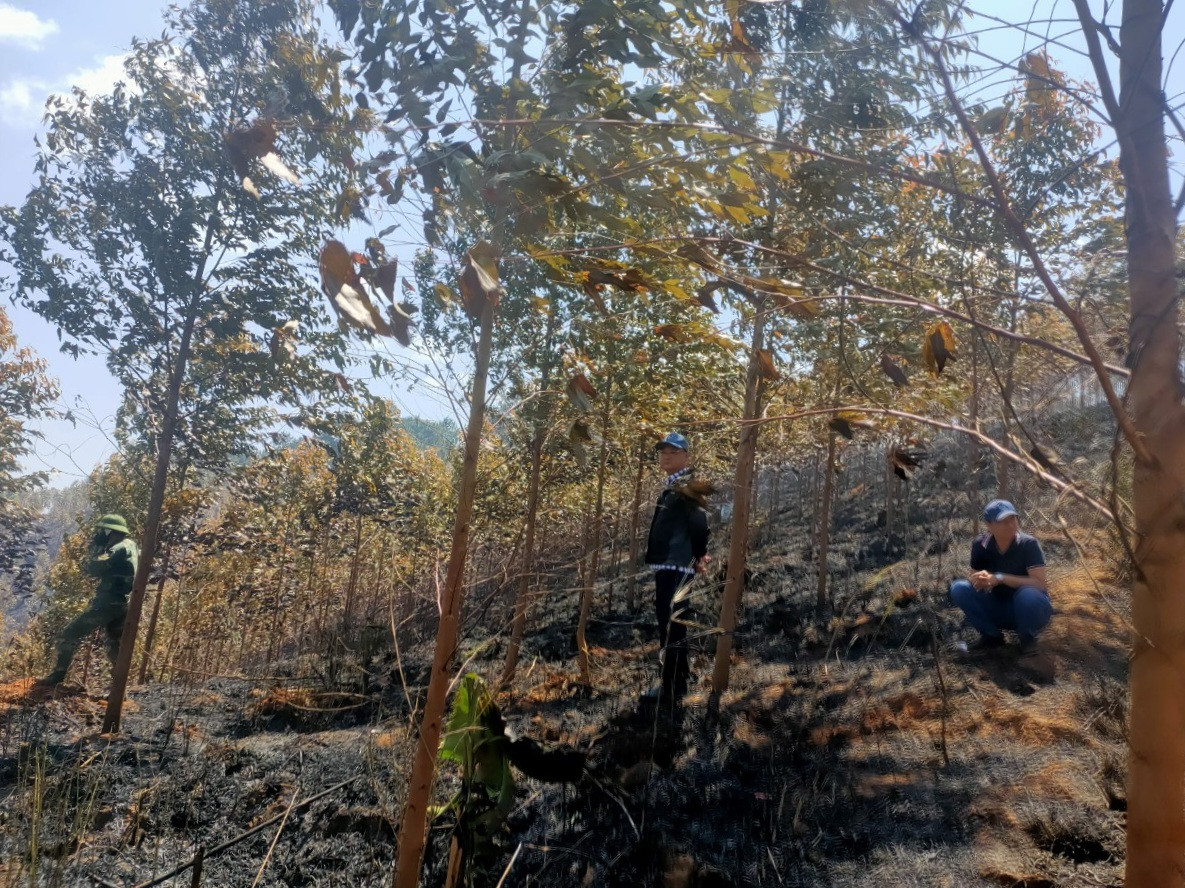 Yêu cầu xác định nguyên nhân vụ cháy rừng khiến 2 người tử vong