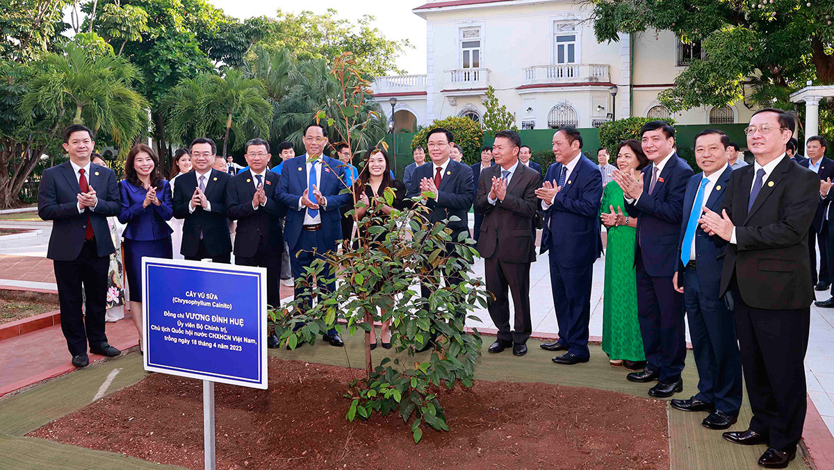 Chủ tịch Quốc hội Vương Đình Huệ: Nhận thức sâu sắc về mối quan hệ đặc biệt, mẫu mực, thuỷ chung Việt Nam - Cuba -8