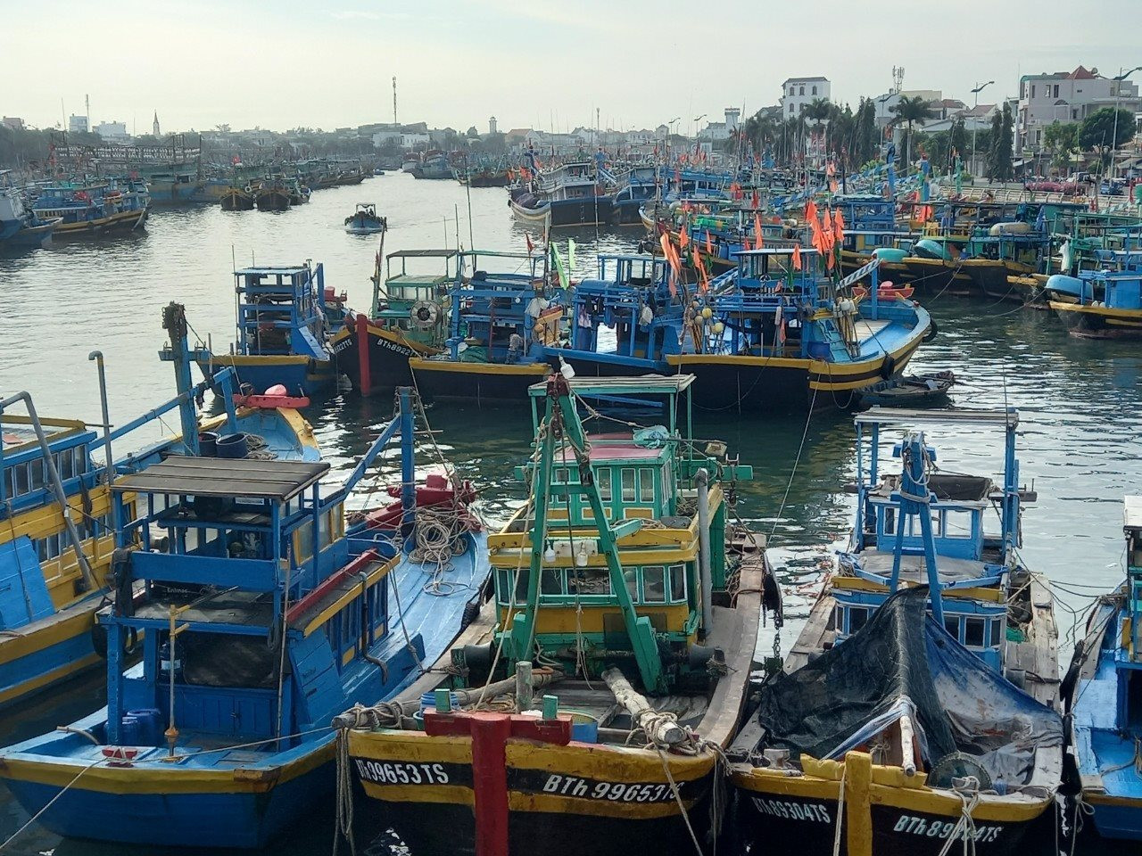 Bình Thuận quyết tâm tăng cường công tác chống khai thác hải sản trái phép (IUU)
