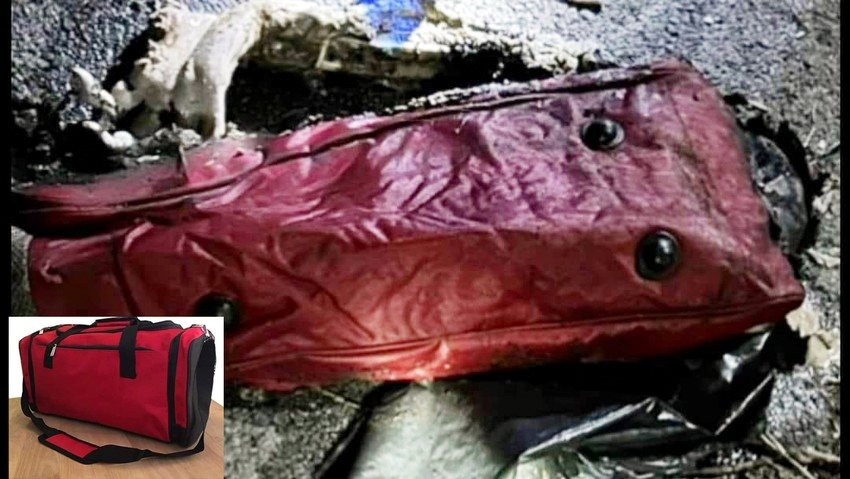 Phần thi thể được phát hiện trong túi xách du lịch màu đỏ 