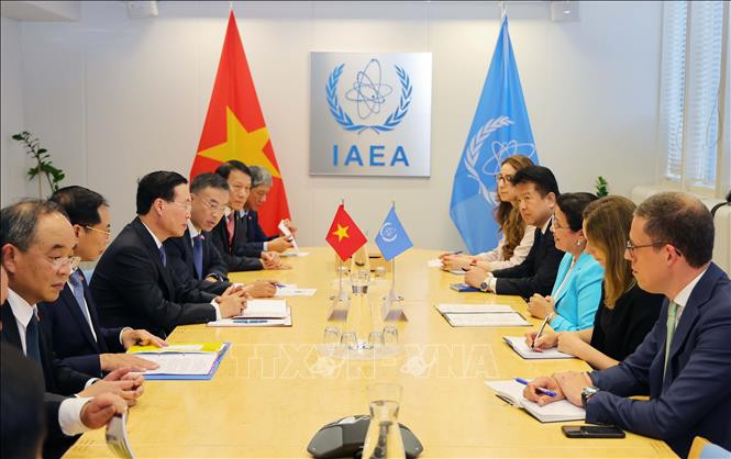 Chủ tịch nước gặp Chủ tịch Thượng viện Áo và Quyền Tổng Giám đốc IAEA - Ảnh 2.
