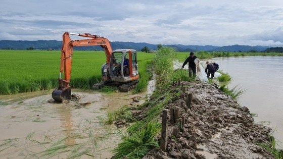 daklak.vo-de-krong-anna-nguy-co-hang-tram-ha-lua-bi-mat-trang.-hinh-1.jpg