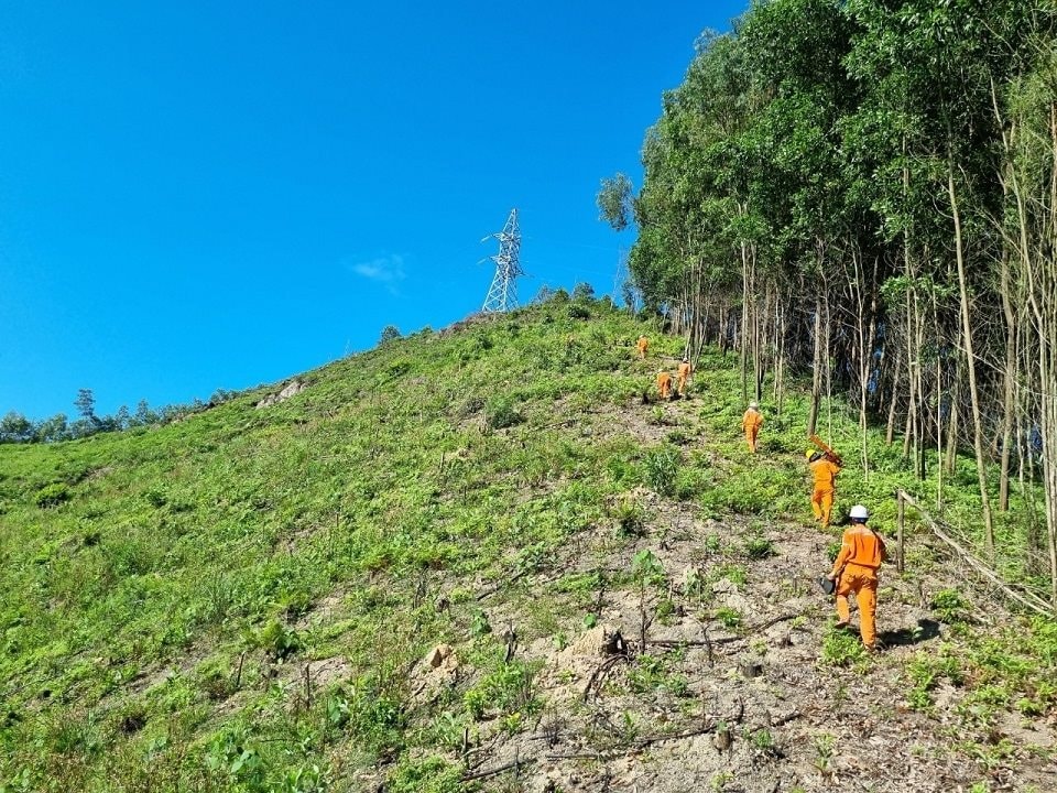 cong-nhan-doi-quan-ly-van-hanh-luoi-dien-cao-the-lvhldct-ha-tinh-di-bo-qua-nhieu-dia-hinh-de-den-hien-truong-lam-viec(1).jpg