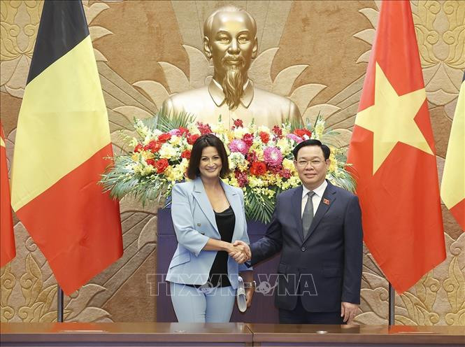 Chủ tịch Thượng viện Bỉ kết thúc tốt đẹp chuyến thăm chính thức Việt Nam - Ảnh 1.