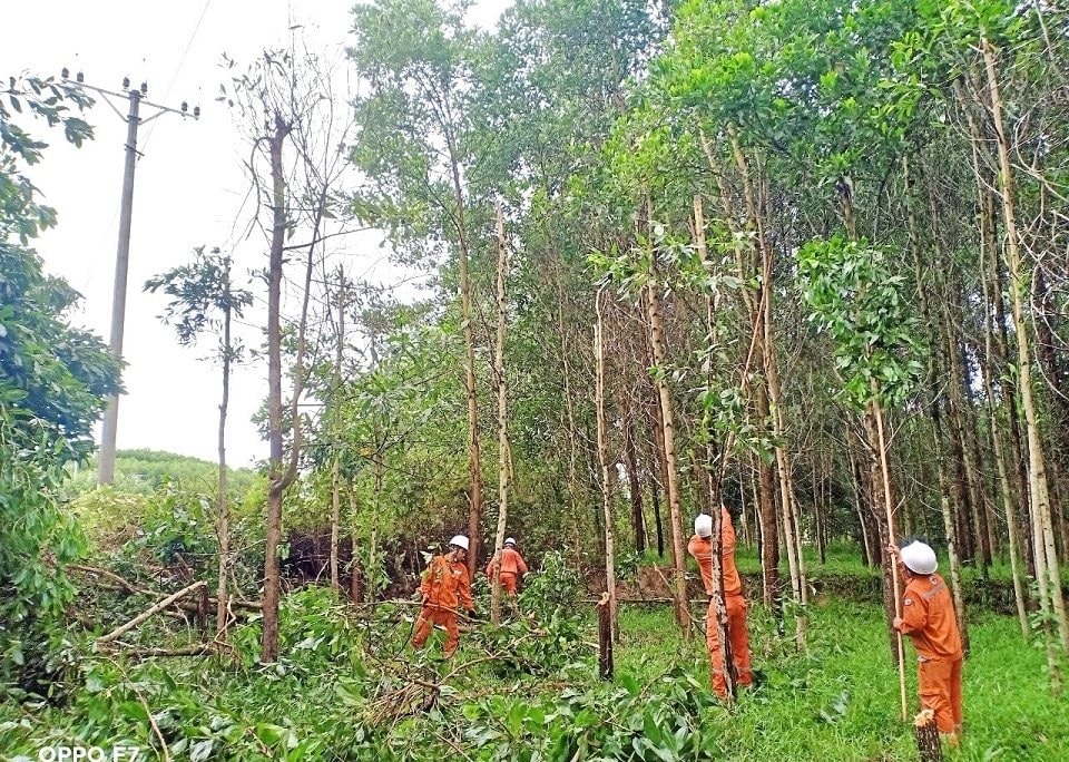 cong-tac-giai-phong-hanh-lang-luoi-dien-luon-duoc-dien-luc-huong-son-pc-ha-tinh-quan-tam-nhat-la-trong-mua-mua-bao.jpg