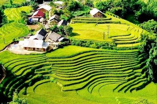 Sa Pa và Cần Thơ lọt top điểm đến lý tưởng ở châu Á vào mùa thu