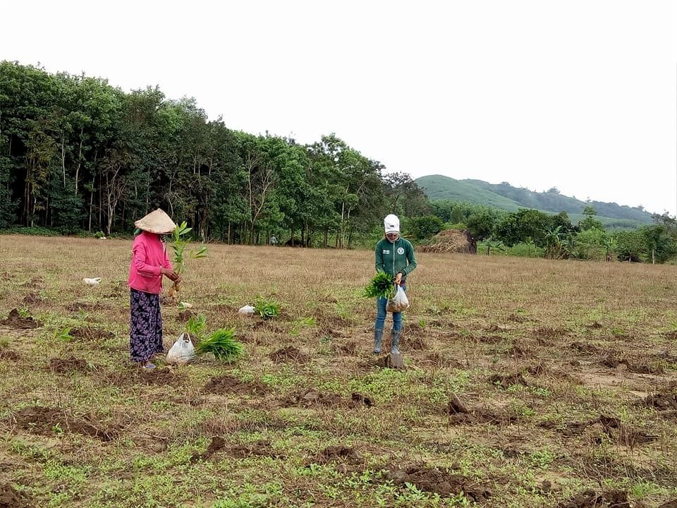 Đắk Lắk: Huyện M'Drắk vươn lên thoát nghèo từ chính sách