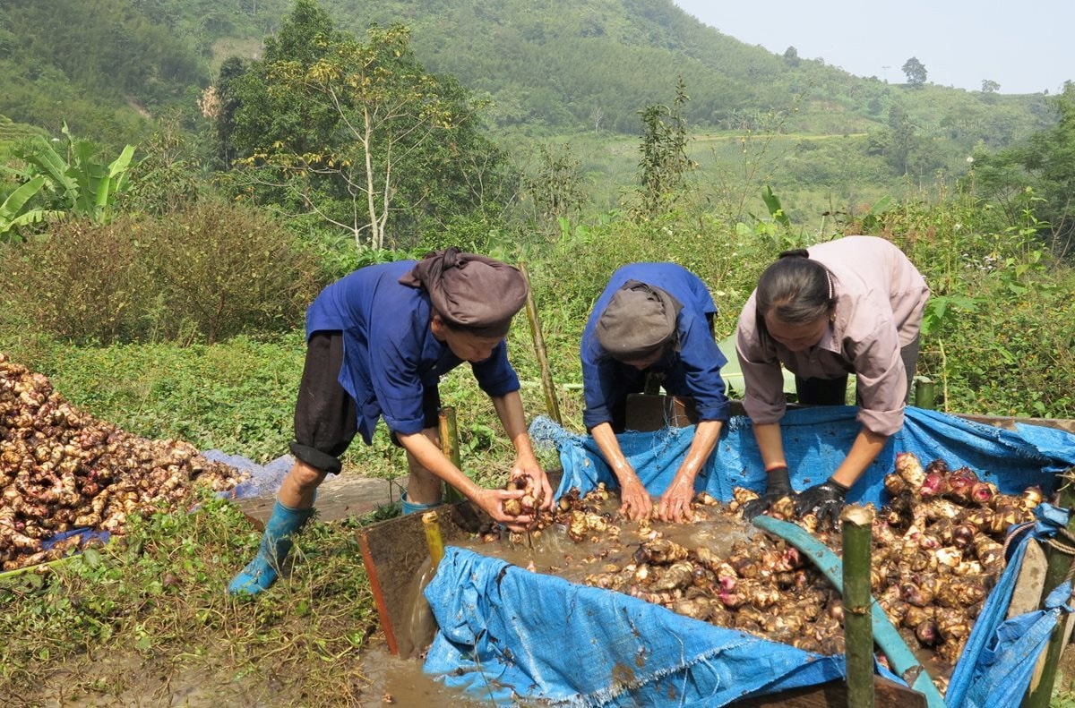 Hỗ trợ chuyển đổi nghề cho đồng bào dân tộc thiểu số