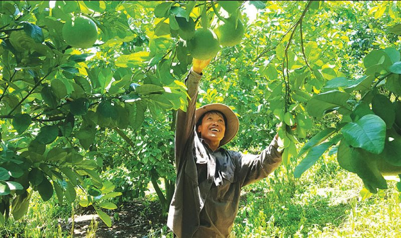 Đẩy mạnh chuyển đổi số thúc đẩy phát triển kinh tế - xã hội vùng đồng bào dân tộc thiểu số tỉnh Phú Yên