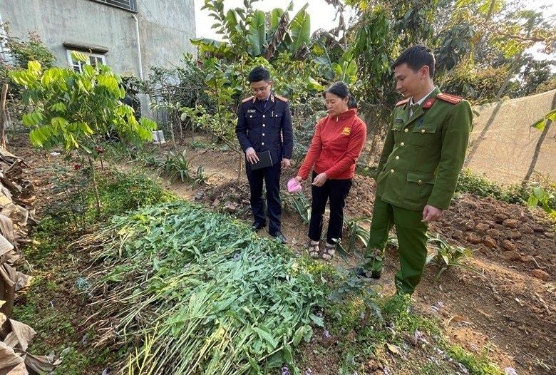 haiphong.jpg
