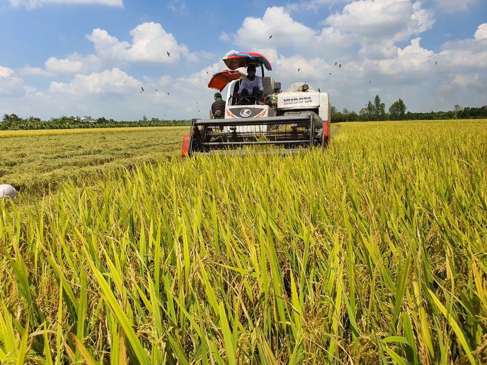 Festival quốc tế lúa gạo ở miền đất Hậu Giang