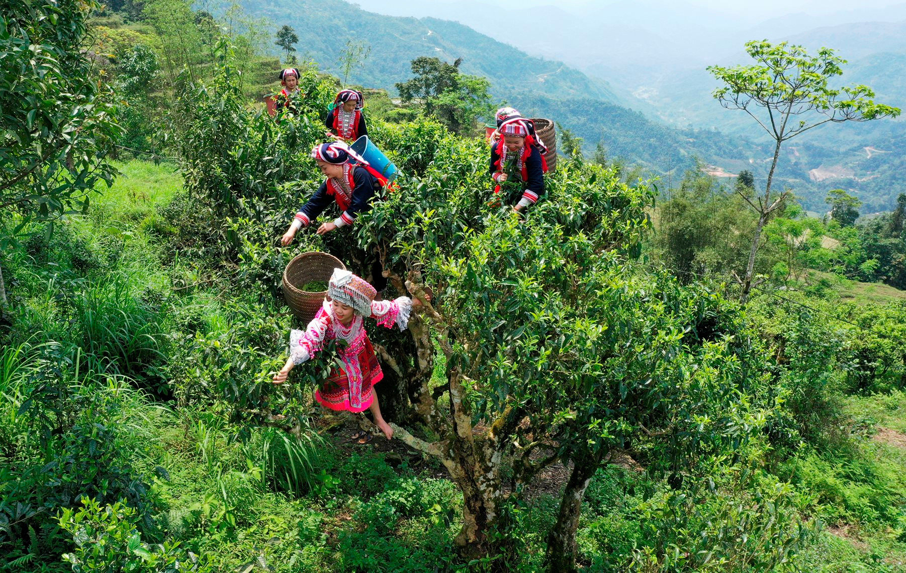 ba-con-dan-toc-dao-xa-thong-nguyen-huyen-hoang-su-phi-ha-giang-thu-hai-che-shan-co-thu.jpg