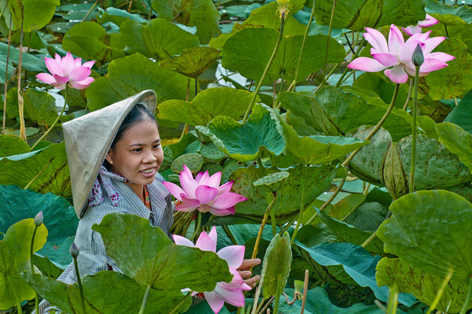 Nâng tầm vị thế đất sen hồng, từ tài nguyên bản địa