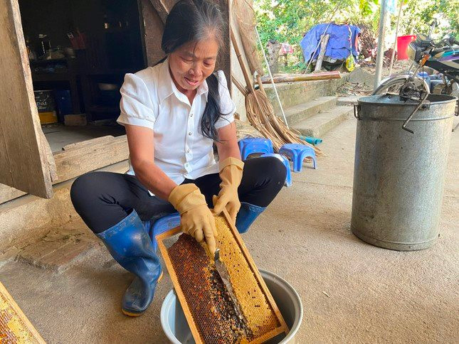Nuôi ong lấy mật giúp người dân Lai Châu thoát nghèo