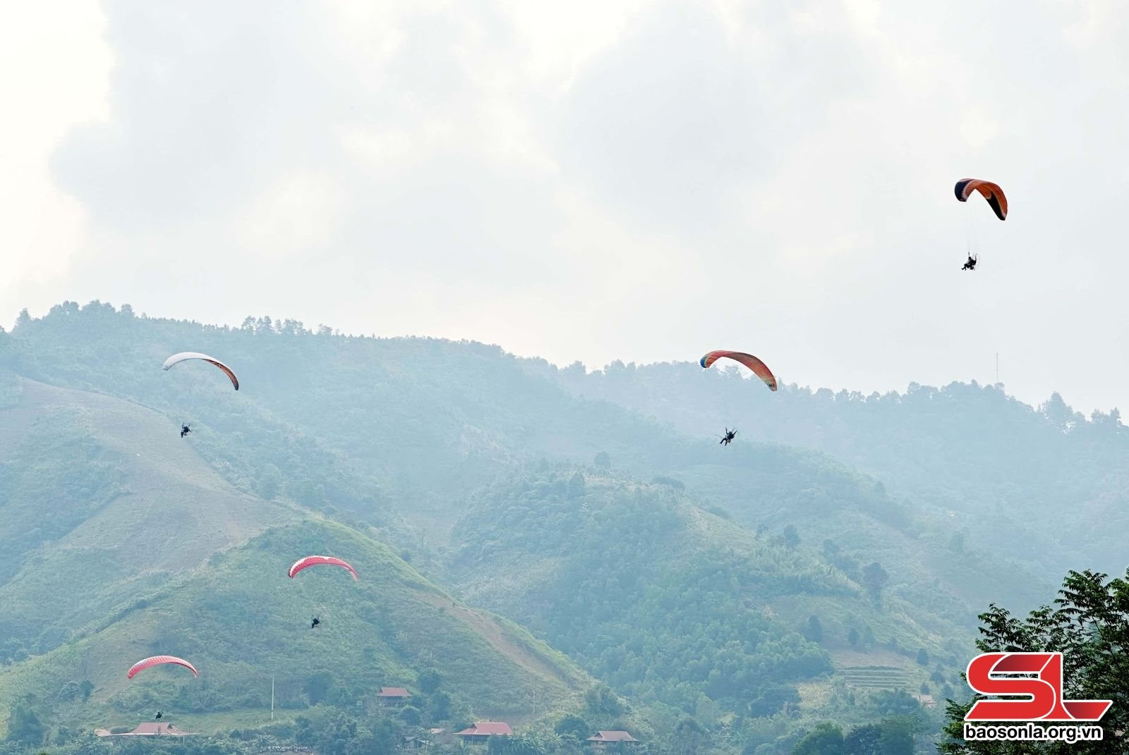 25-11-trinh-dien-du-luon-tai-khu-vuc-ho-suoi-chieu-xa-muong-thai-huyen-phu-yen..jpg