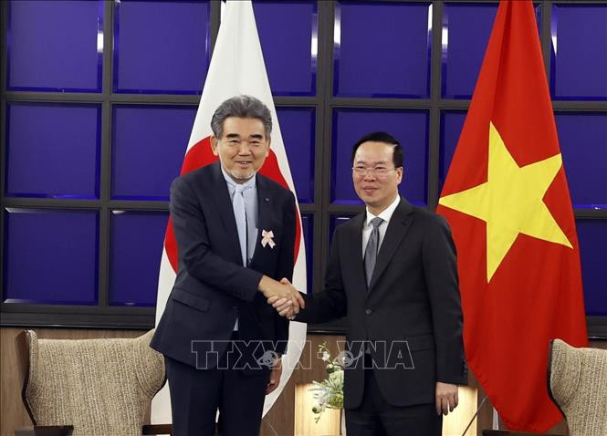 Chủ tịch nước Võ Văn Thưởng tiếp lãnh đạo Hiệp hội Chuyên gia Nhật Bản-Việt Nam- Ảnh 1.