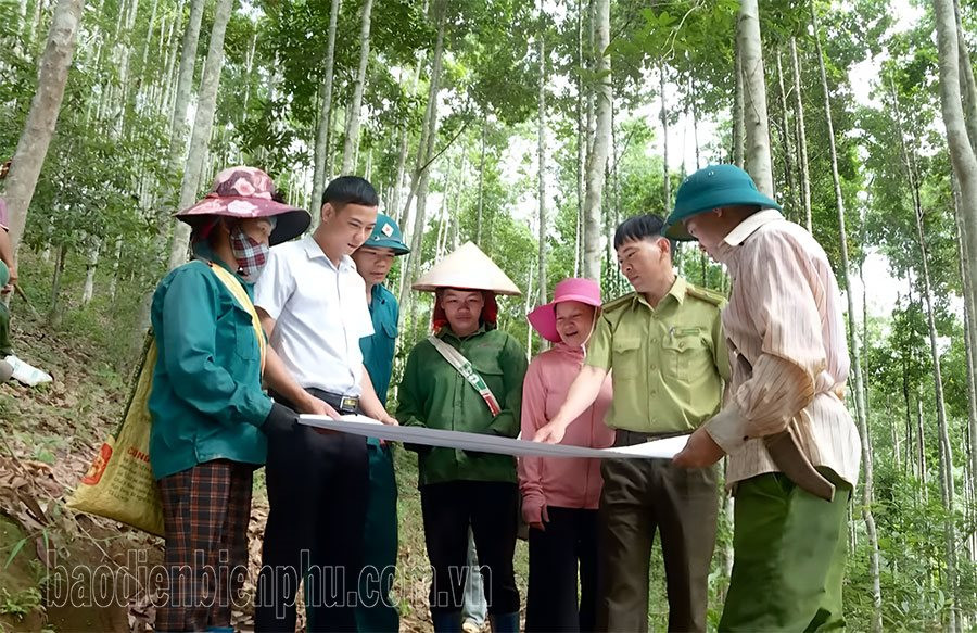 Hiệu quả mô hình quản lý rừng cộng đồng