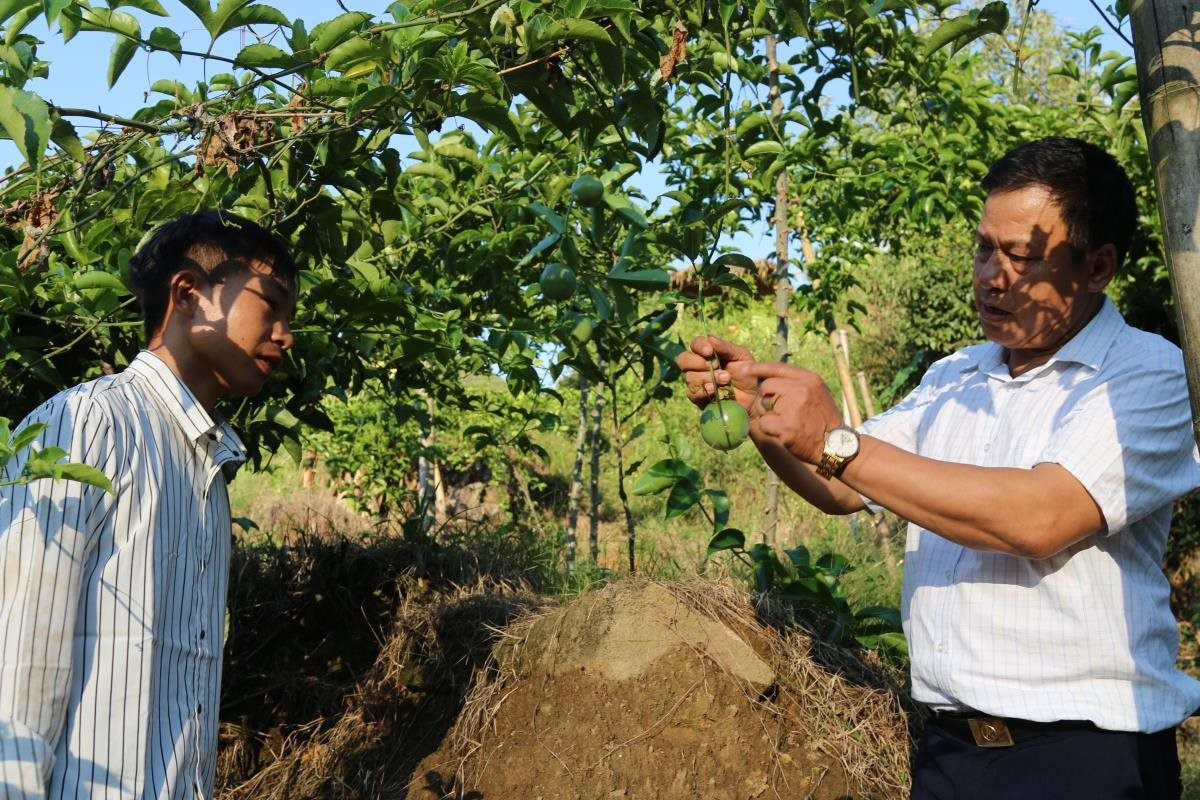 Đổi mới tư duy để làm giàu ở bản Sàng Giang