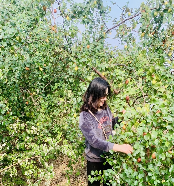 Phát triển nguồn nhân lực nông nghiệp, nông thôn
