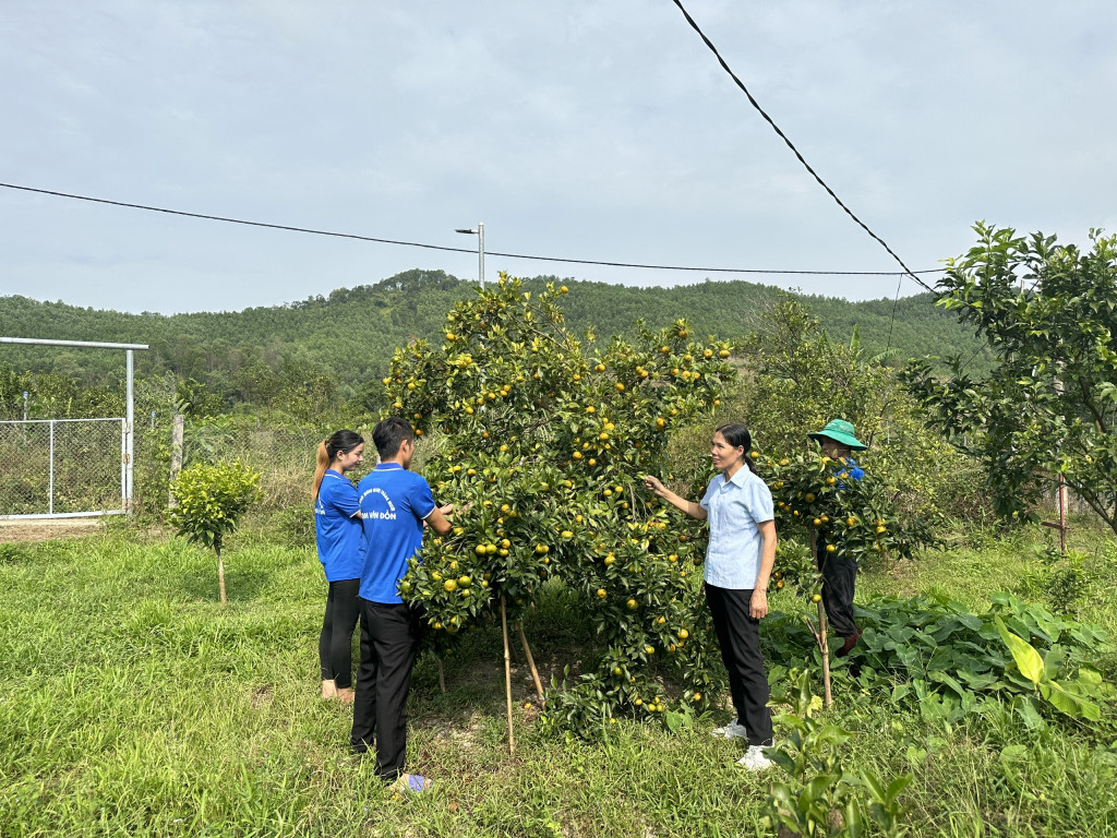 Nông thôn mới - Hành trình chuyển từ lượng sang chất