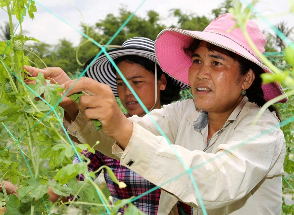 Chính sách tín dụng giúp đồng bào Khmer thu nhập ổn định, thoát nghèo bền vững