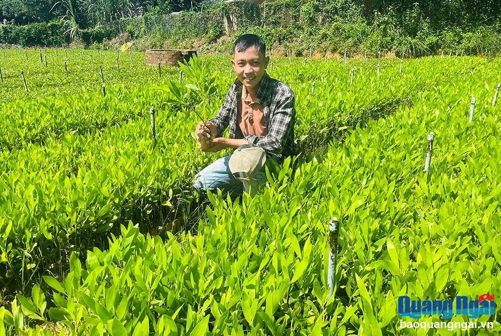 Chàng trai Hrê năng động