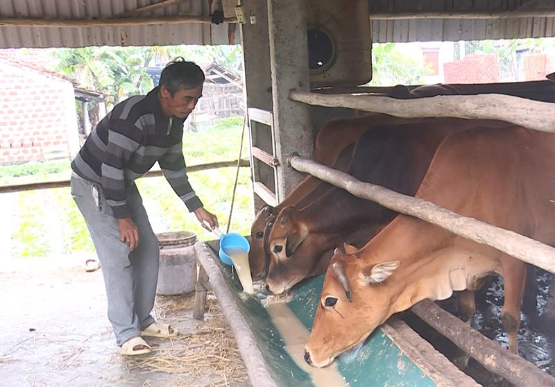 Phòng, chống đói, rét cho đàn vật nuôi