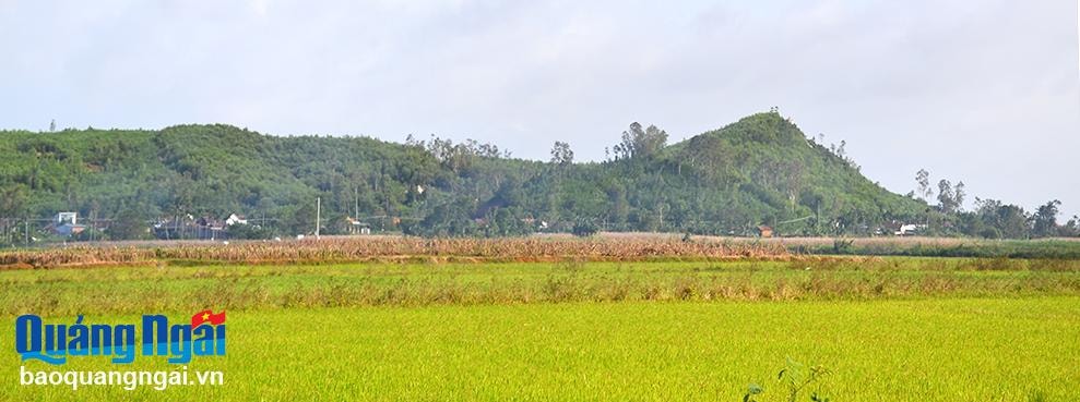 Qua miền đất... rồng