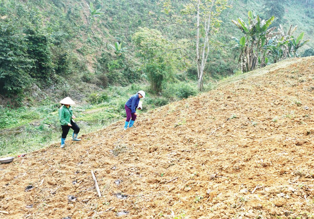 Lên rẫy ngày xuân