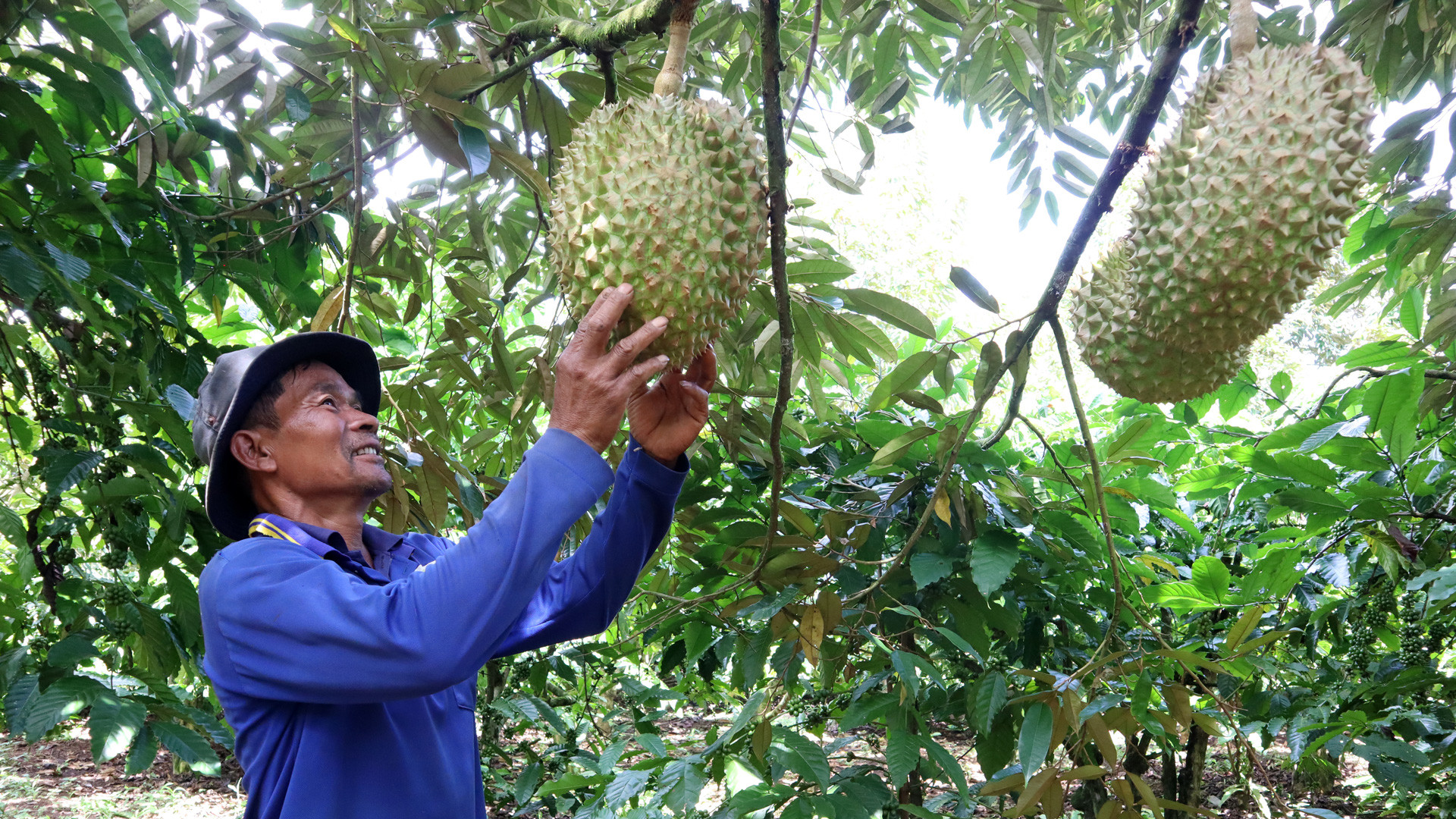 Lan tỏa các mô hình “Dân vận khéo” trong vùng đồng bào dân tộc thiểu số, người có đạo