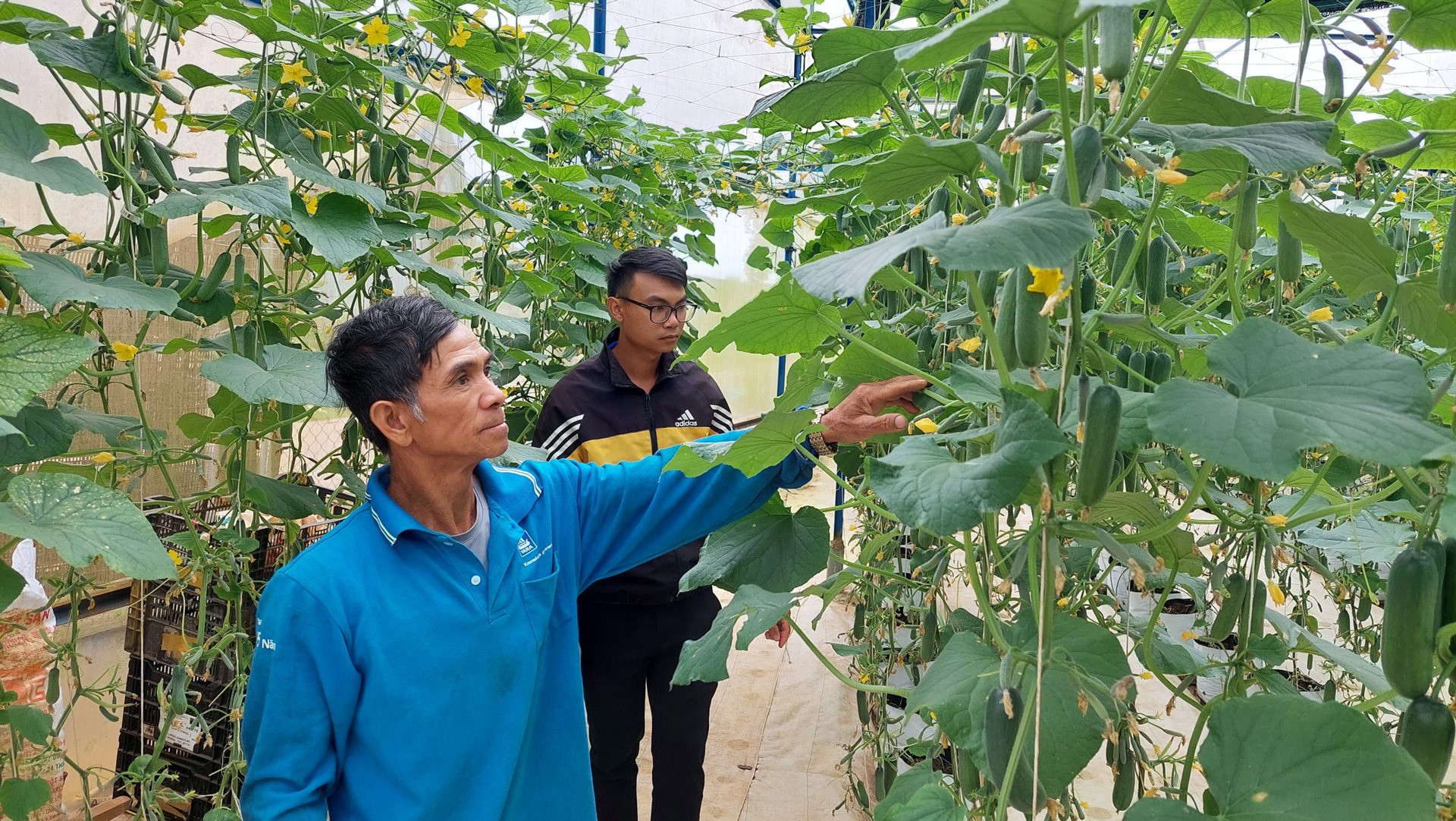 Đất khó ''đổi màu''