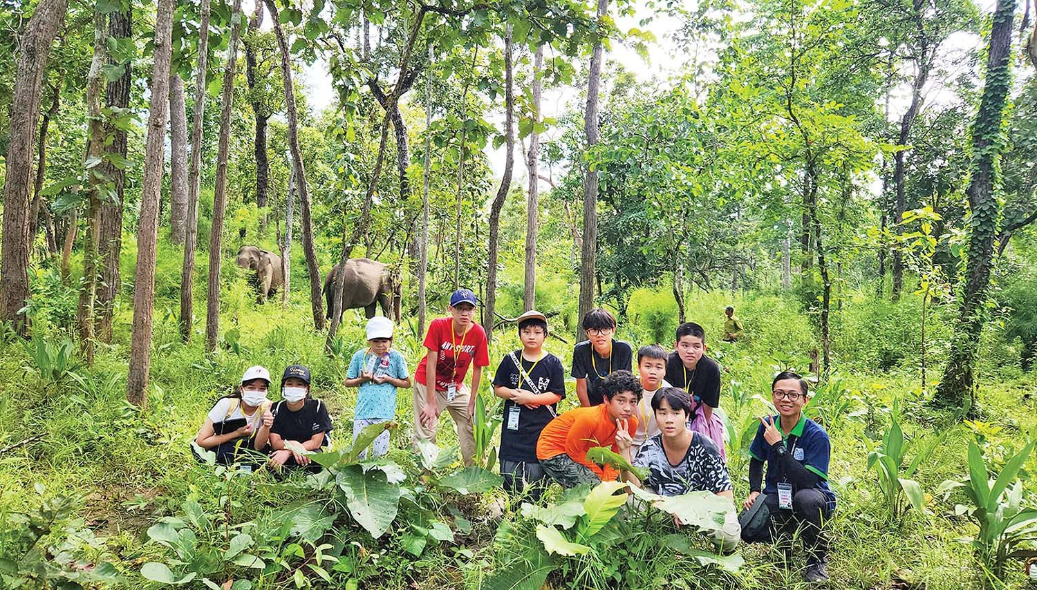 Đánh thức tiềm năng du lịch sinh thái rừng