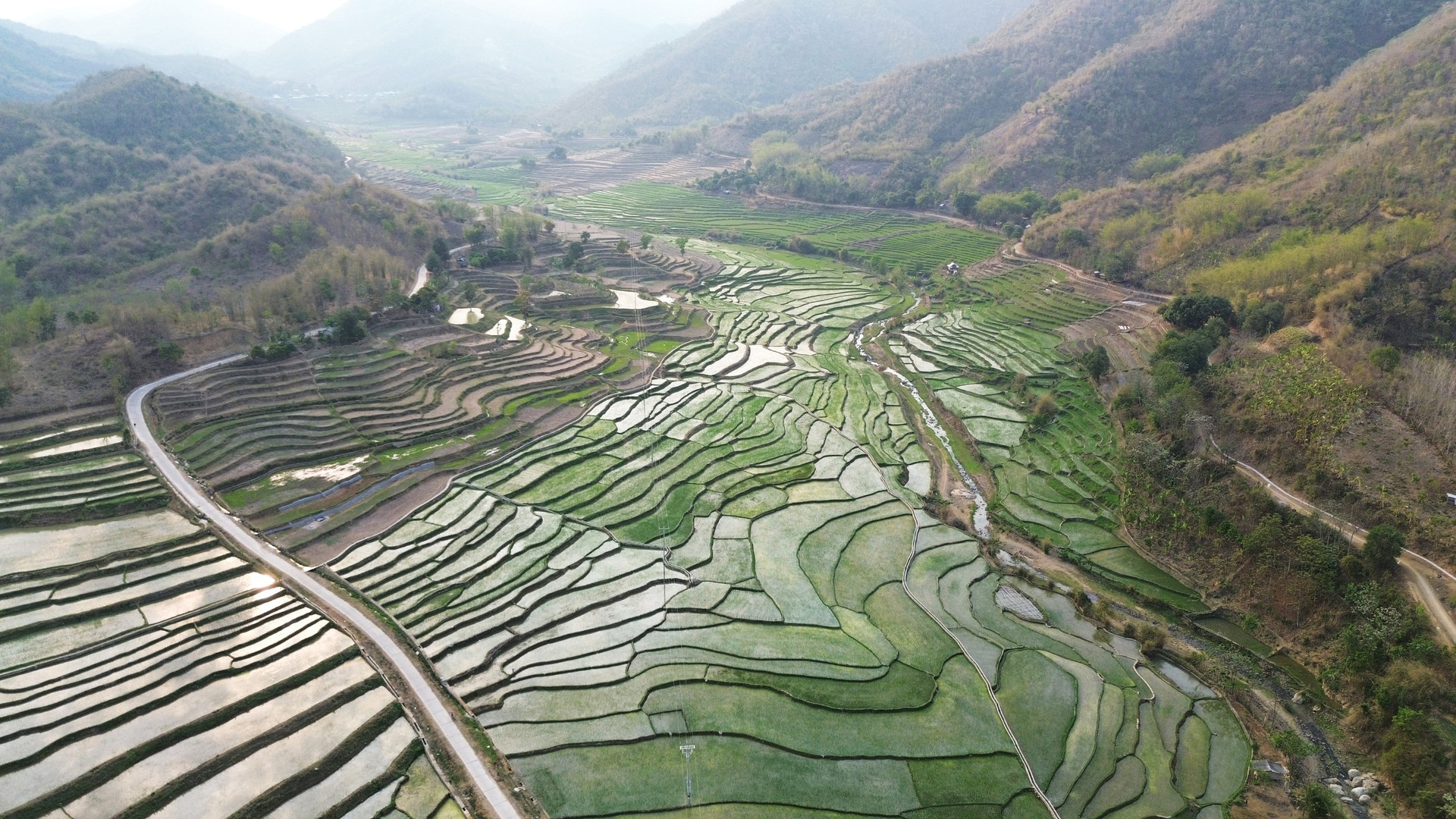 Xanh mướt những cánh ruộng bậc thang trên cổng trời Mường Lát- Ảnh 1.