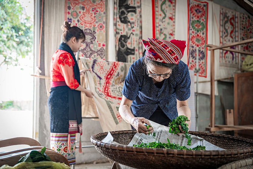 Nguyên liệu sợi và bông được những người bản Hoa Tiến sản xuất tại địa phương bằng việc tự trồng dâu nuôi tằm, trồng bông.