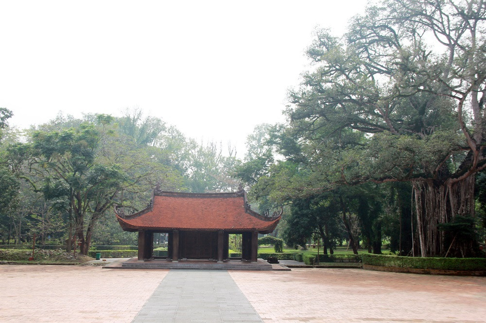 Ngắm cây di sản “đặc biệt” ở Lam Kinh
