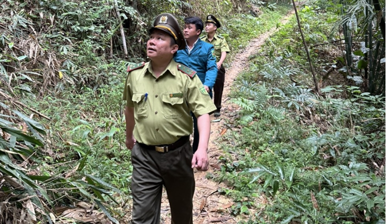 Bảo vệ rừng bền vững ở vùng biên giới Quan Sơn