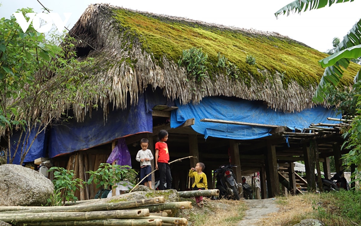  lac loi o ban lang phu reu xanh tren day tay con linh ha giang hinh anh 2