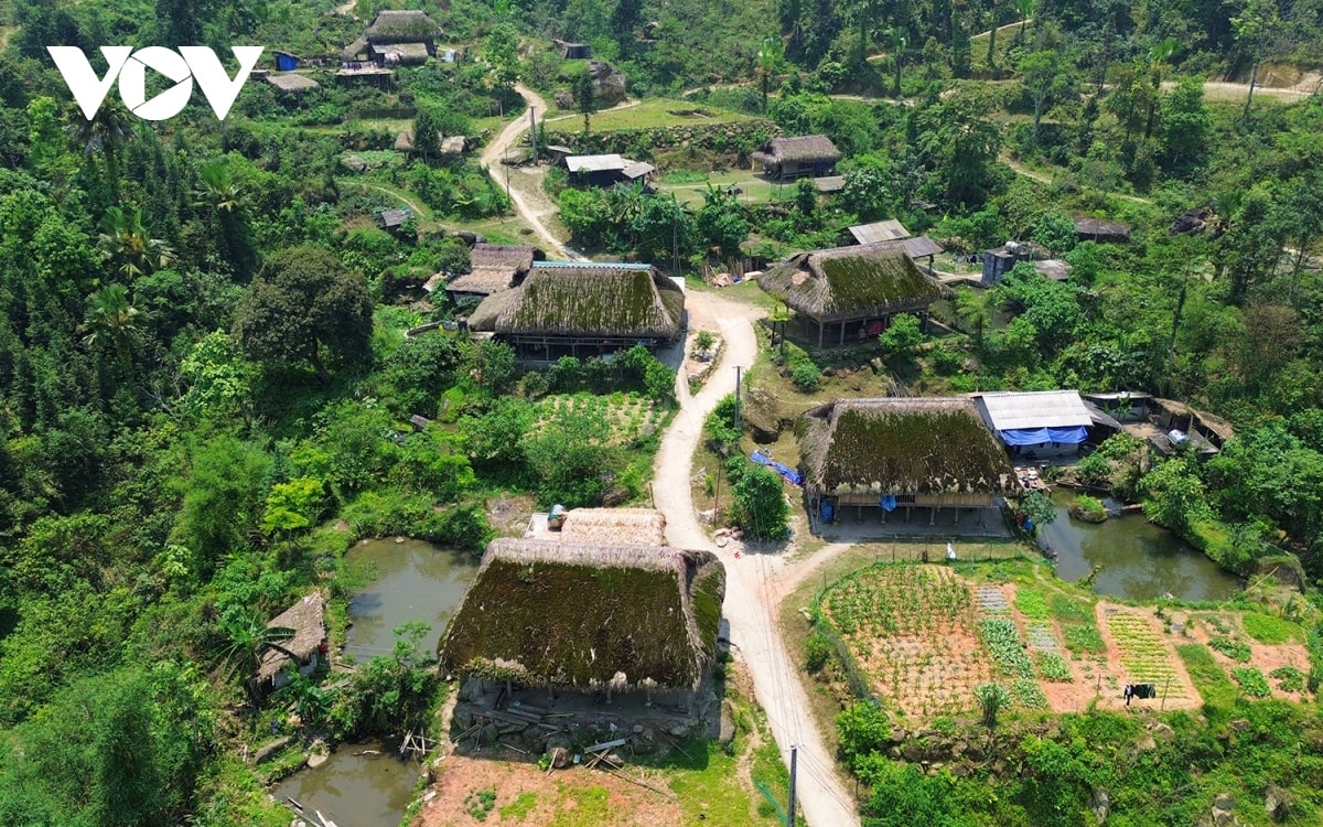  lac loi o ban lang phu reu xanh tren day tay con linh ha giang hinh anh 4