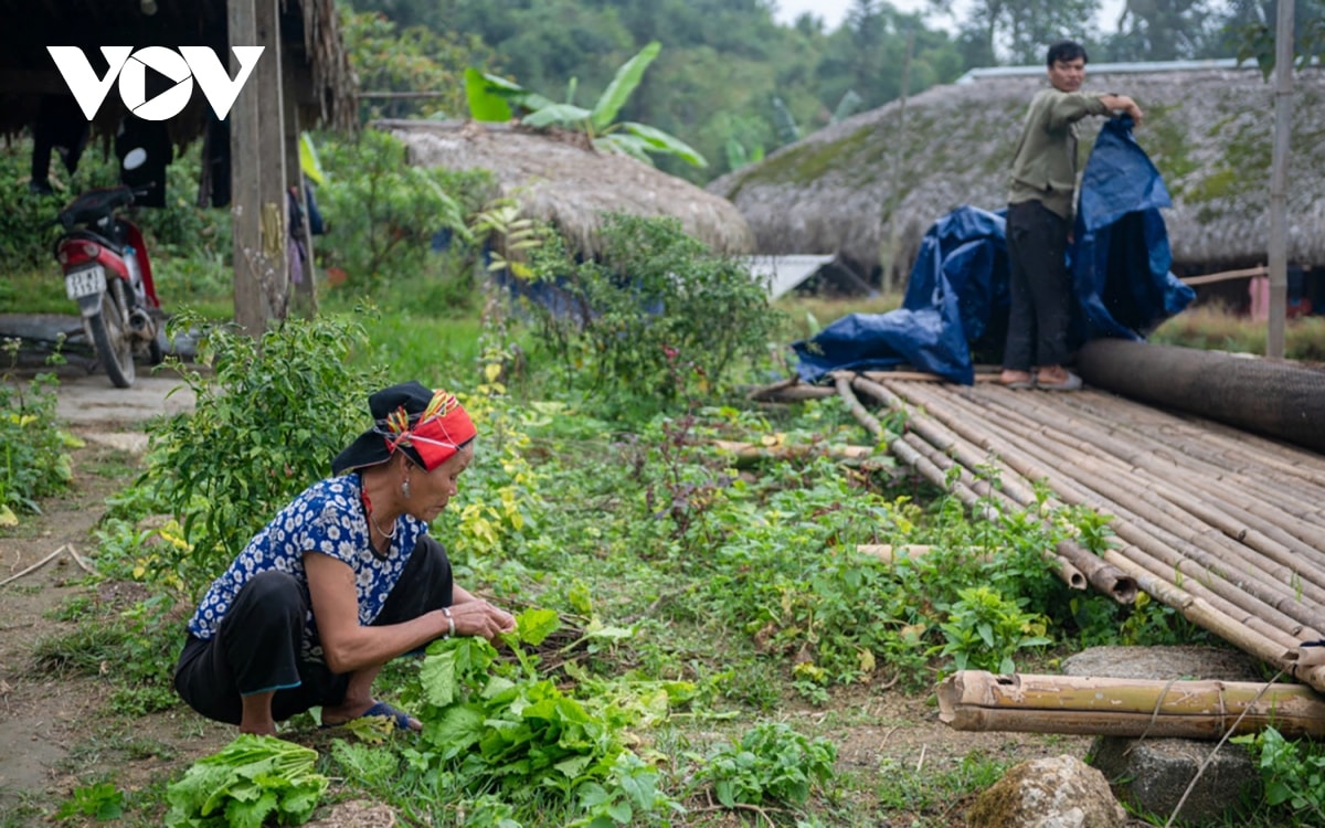  lac loi o ban lang phu reu xanh tren day tay con linh ha giang hinh anh 8