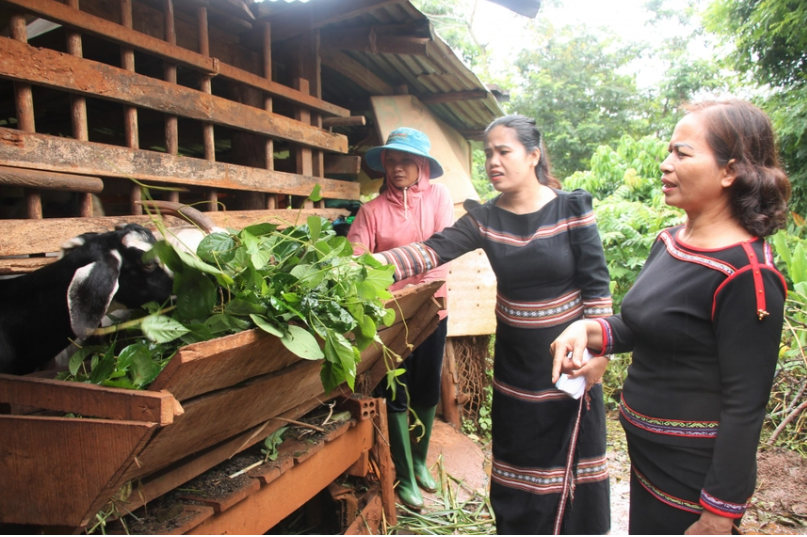 Phụ nữ Tơng Sinh cải tạo đất vườn vươn lên giảm nghèo