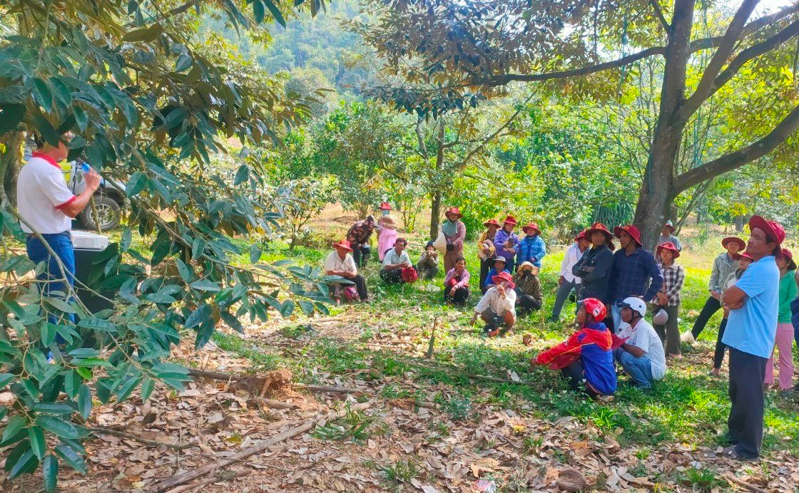Khánh Sơn: Nhiều hội viên nông dân thoát nghèo bền vững