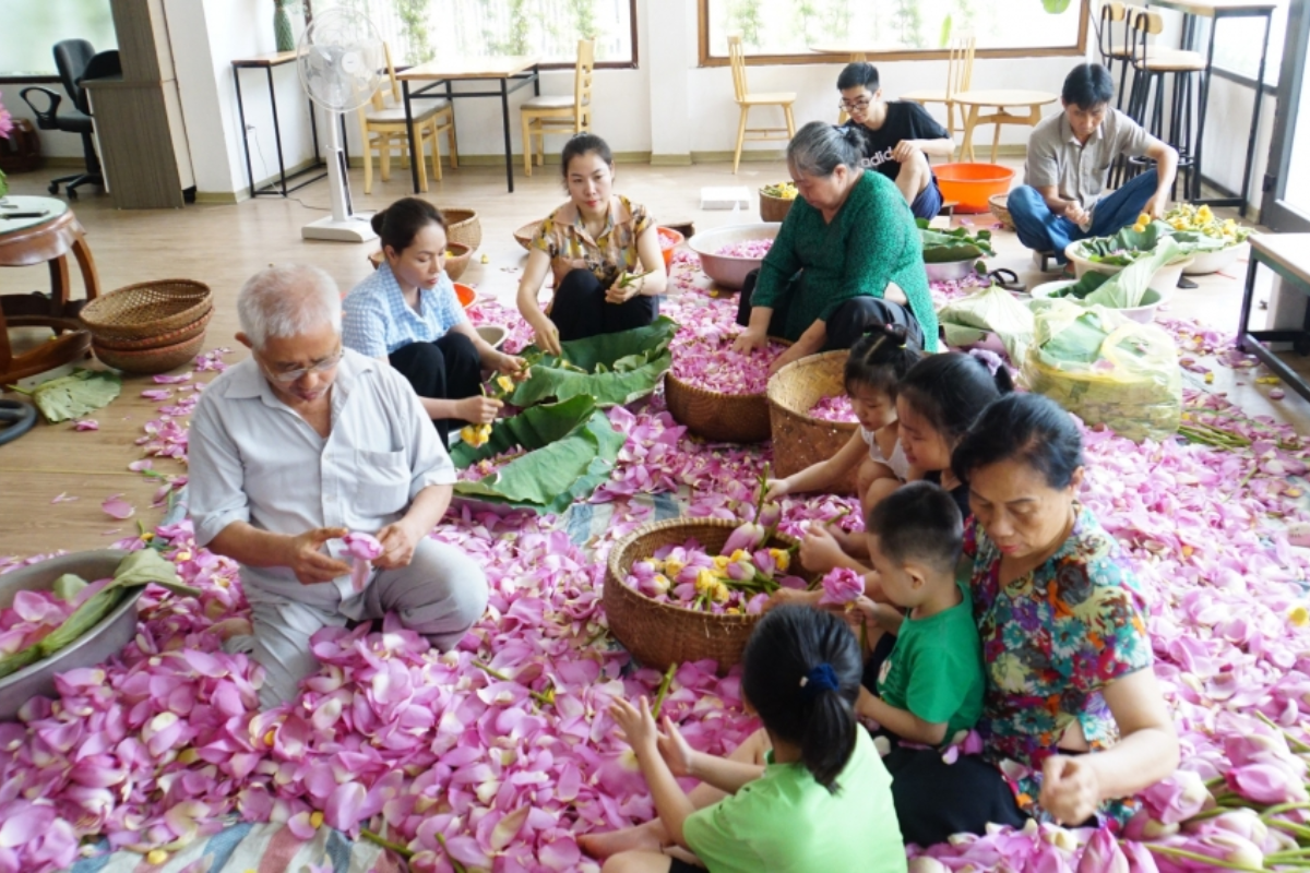 tai-quang-an-co-nhieu-ho-gia-dinh-van-duy-tri-nghe-uop-tra-sen..png