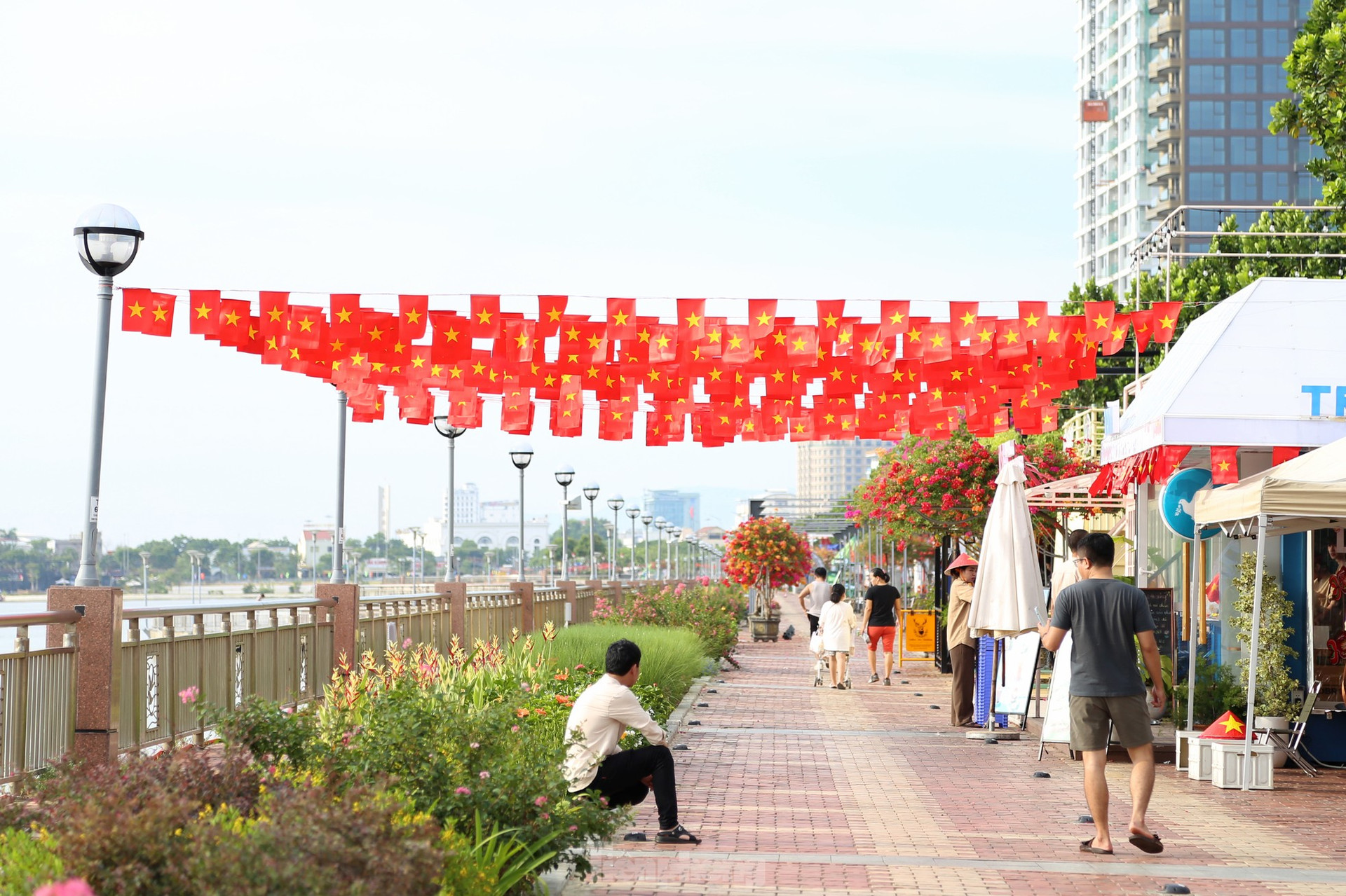 Phố phường Đà Nẵng rực rỡ, chung cư rợp cờ đỏ sao vàng dịp Tết Độc lập ảnh 20