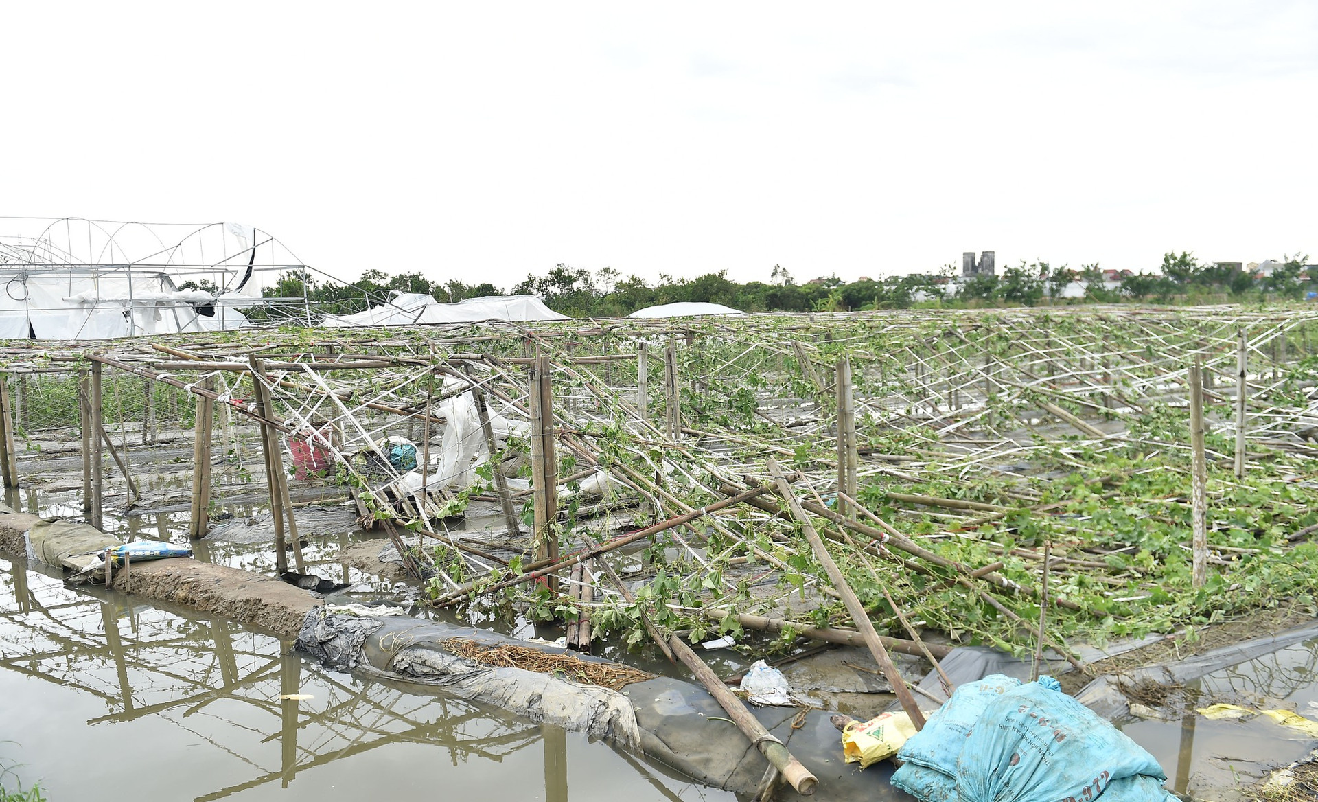 Phó Thủ tướng Lê Thành Long kiểm tra công tác khắc phục hậu quả bão số 3 tại Hải Dương- Ảnh 3.