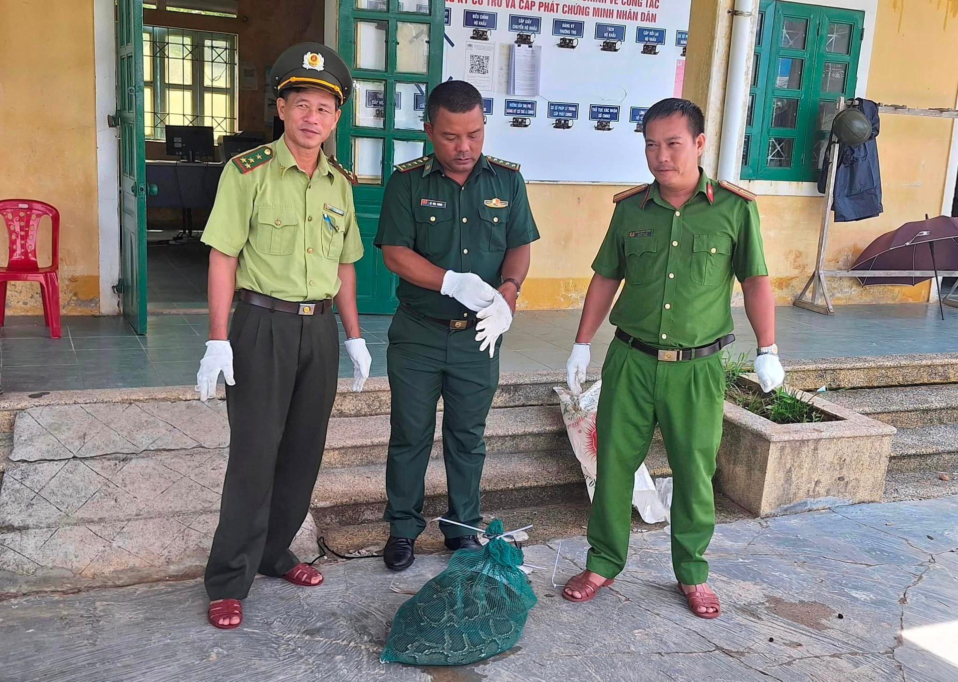 bat-duoc-con-dong-vat-hoang-da-quy-hiem-nang-12kg-dai-3m-nguoi-dan-ong-o-hue-giao-nop-kiem-lam-anh-1-17269968954371542926217.jpg