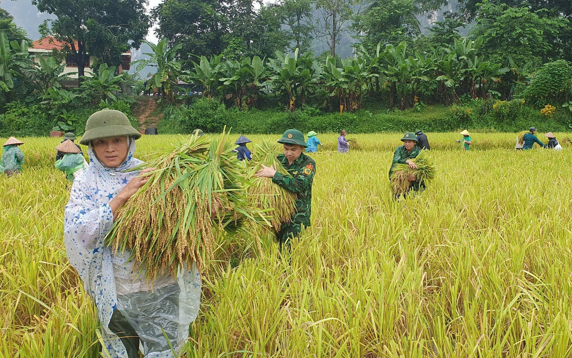 bdbp_thanh_hoa3.jpg