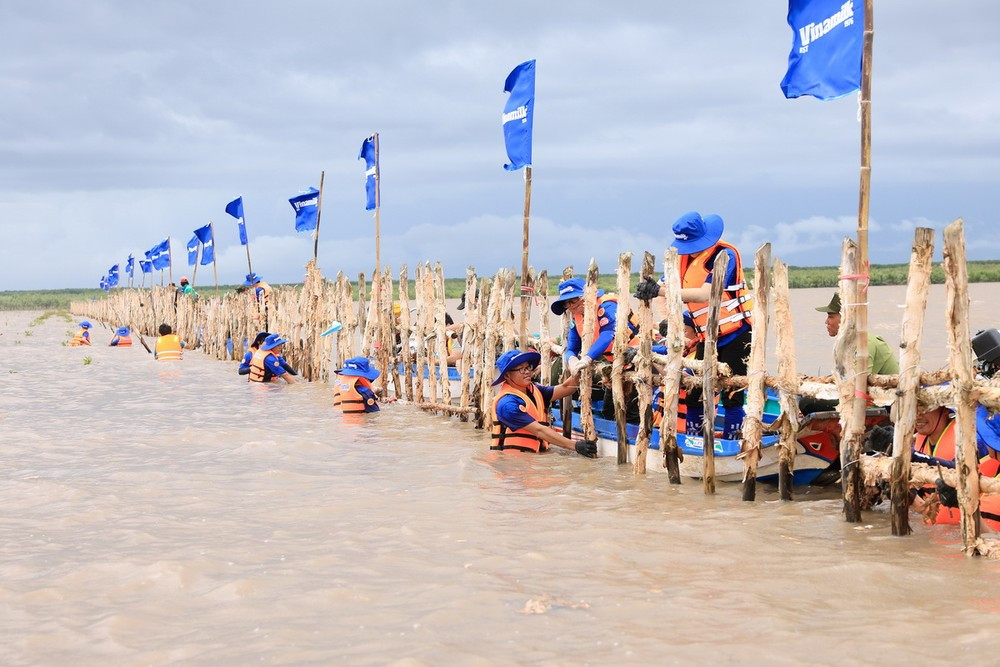 Đoàn nhân viên Vinamilk cùng thực hiện gia cố, sửa chữa hàng rào khoanh nuôi rừng. (Nguồn: Vietnam+)