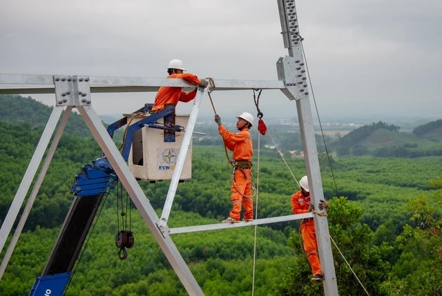 thi-cong-duong-day-500-kv-mach-33-1-17293879927411413061296-1729496624821331014607.jpg