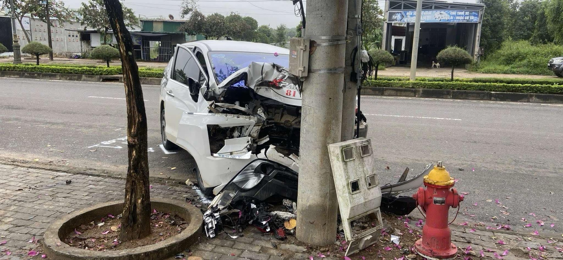 Ô tô tông vào cột điện, 2 người thương vong